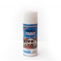 Touch Up Paint
